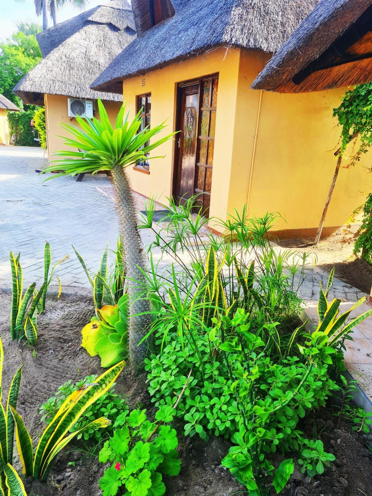 Maya Bnb Nata Esterno foto