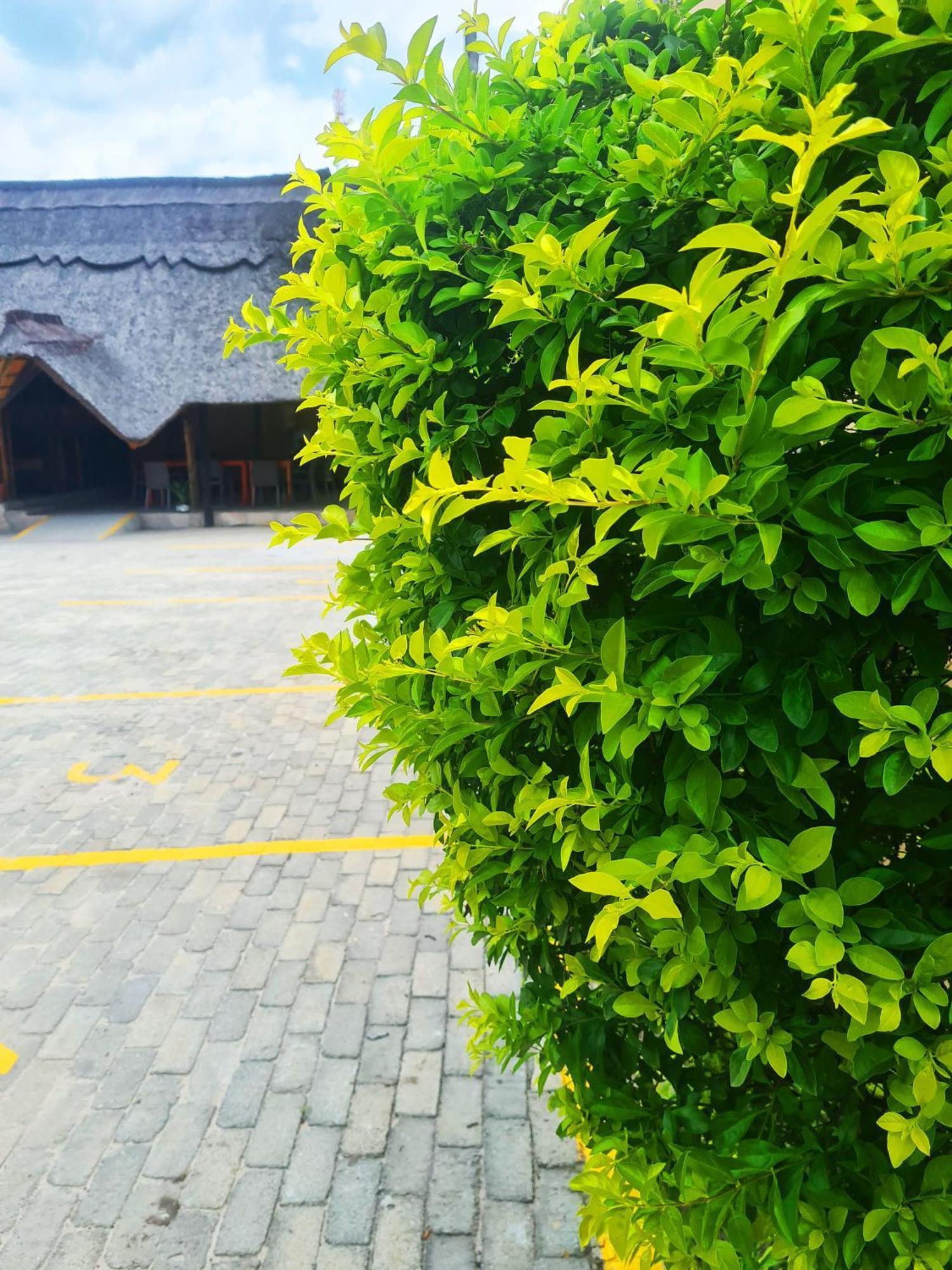 Maya Bnb Nata Esterno foto